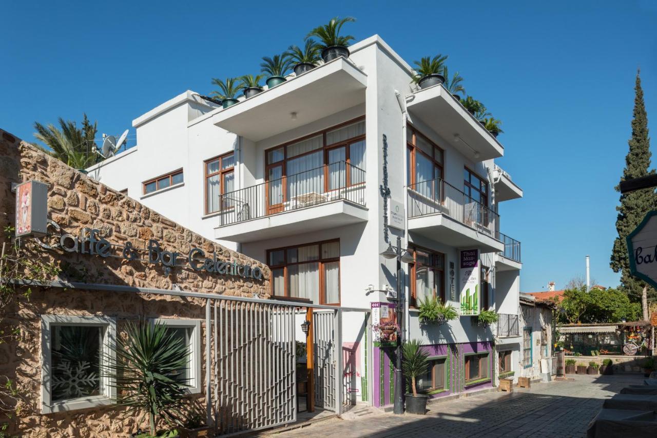Delight Deluxe Hotel & Spa Antalya Exterior photo